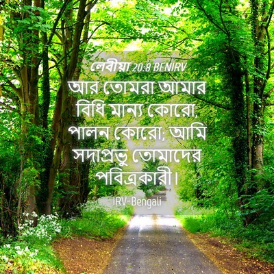 Picture 04 - লেবীয়া 20:8 BENIRV - আর তোমরা আমার বিধি - Bible Verse Picture