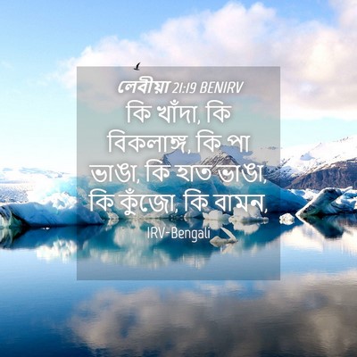 Picture 04 - লেবীয়া 21:19 BENIRV - কি খাঁদা, কি - Bible Verse Picture