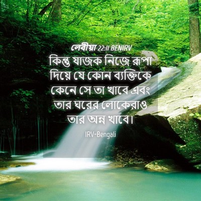 Picture 04 - লেবীয়া 22:11 BENIRV - কিন্তু যাজক নিজে - Bible Verse Picture