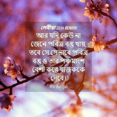 Picture 04 - লেবীয়া 22:14 BENIRV - আর যদি কেউ না জেনে - Bible Verse Picture