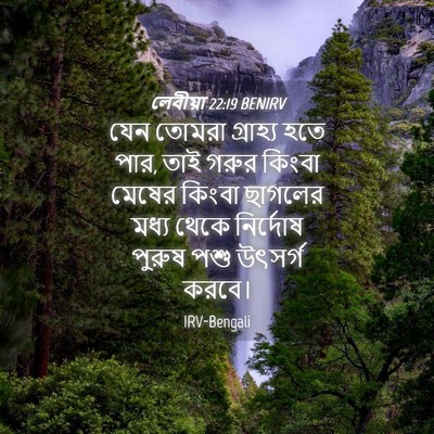 Picture 04 - লেবীয়া 22:19 BENIRV - যেন তোমরা গ্রাহ্য - Bible Verse Picture