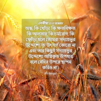 Picture 04 - লেবীয়া 22:22 BENIRV - অন্ধ, কি খোঁড়া, কি - Bible Verse Picture