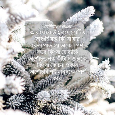 Picture 04 - লেবীয়া 22:5 BENIRV - আর যে কেউ মৃতদেহ - Bible Verse Picture