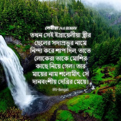 Picture 04 - লেবীয়া 24:11 BENIRV - তখন সেই - Bible Verse Picture