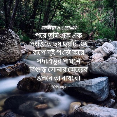 Picture 04 - লেবীয়া 24:6 BENIRV - পরে তুমি এক এক - Bible Verse Picture