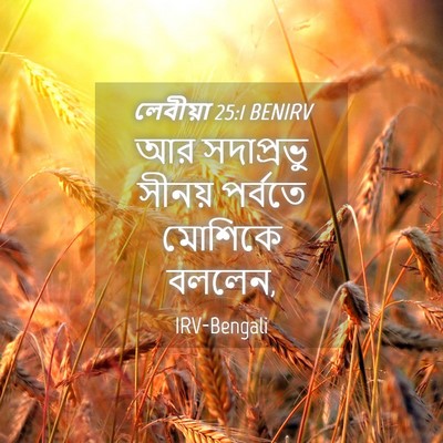 Picture 04 - লেবীয়া 25:1 BENIRV - আর সদাপ্রভু সীনয় - Bible Verse Picture