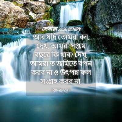 Picture 04 - লেবীয়া 25:20 BENIRV - আর যদি তোমরা বল, - Bible Verse Picture