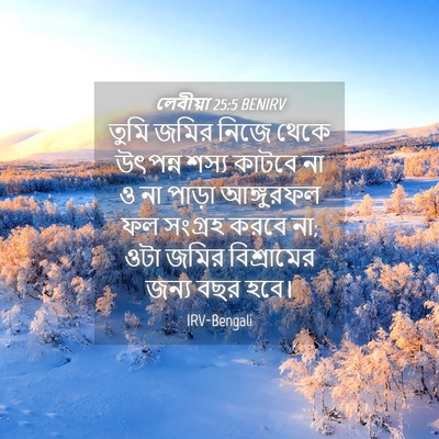 Picture 04 - লেবীয়া 25:5 BENIRV - তুমি জমির নিজে - Bible Verse Picture