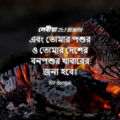 Picture 04 - লেবীয়া 25:7 BENIRV - এবং তোমার পশুর ও - Bible Verse Picture