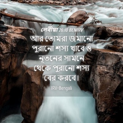 Picture 04 - লেবীয়া 26:10 BENIRV - আর তোমরা জমানো - Bible Verse Picture