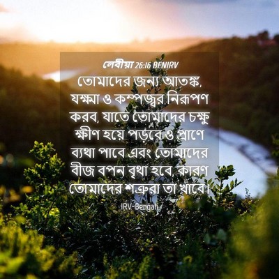 Picture 04 - লেবীয়া 26:16 BENIRV - তোমাদের জন্য - Bible Verse Picture