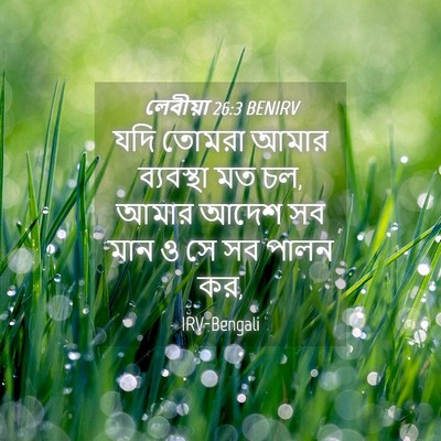 Picture 04 - লেবীয়া 26:3 BENIRV - যদি তোমরা আমার - Bible Verse Picture