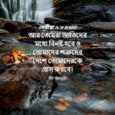Picture 04 - লেবীয়া 26:38 BENIRV - আর তোমরা জাতিদের - Bible Verse Picture
