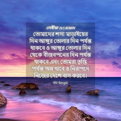 Picture 04 - লেবীয়া 26:5 BENIRV - তোমাদের শস্য - Bible Verse Picture