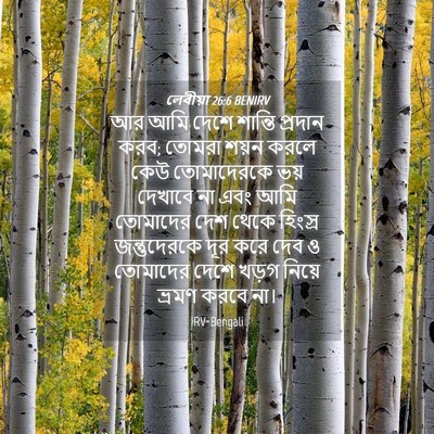 Picture 04 - লেবীয়া 26:6 BENIRV - আর আমি দেশে শান্তি - Bible Verse Picture