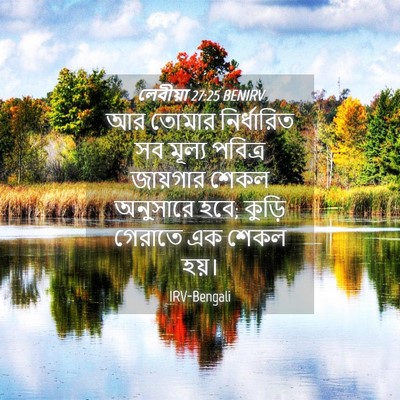 Picture 04 - লেবীয়া 27:25 BENIRV - আর তোমার - Bible Verse Picture