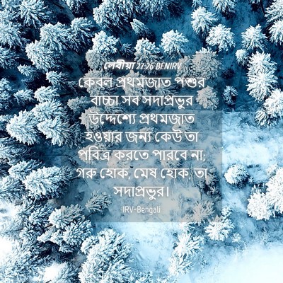Picture 04 - লেবীয়া 27:26 BENIRV - কেবল প্রথমজাত - Bible Verse Picture