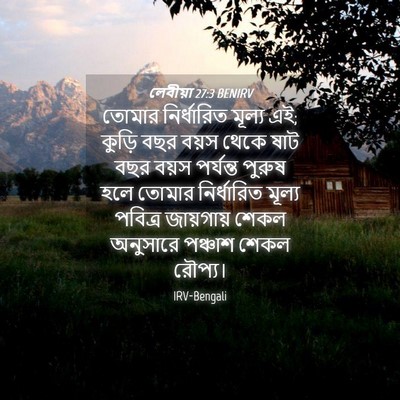 Picture 04 - লেবীয়া 27:3 BENIRV - তোমার নির্ধারিত - Bible Verse Picture