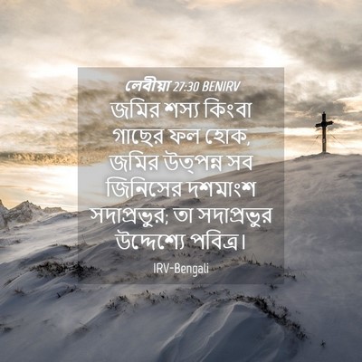 Picture 04 - লেবীয়া 27:30 BENIRV - জমির শস্য কিংবা - Bible Verse Picture