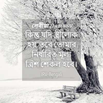 Picture 04 - লেবীয়া 27:4 BENIRV - কিন্তু যদি - Bible Verse Picture