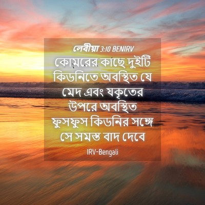 Picture 04 - লেবীয়া 3:10 BENIRV - কোমরের কাছে দুইটি - Bible Verse Picture