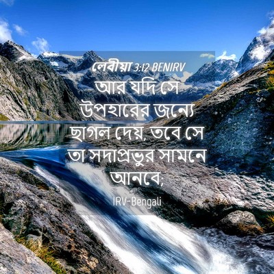 Picture 04 - লেবীয়া 3:12 BENIRV - আর যদি সে উপহারের - Bible Verse Picture