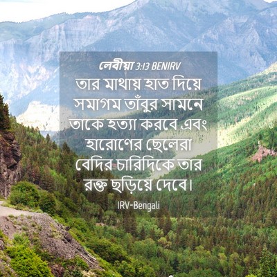 Picture 04 - লেবীয়া 3:13 BENIRV - তার মাথায় হাত - Bible Verse Picture