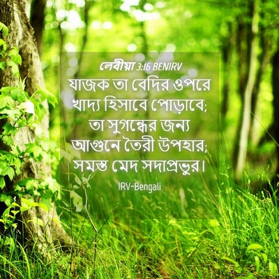 Picture 04 - লেবীয়া 3:16 BENIRV - যাজক তা বেদির ওপরে - Bible Verse Picture
