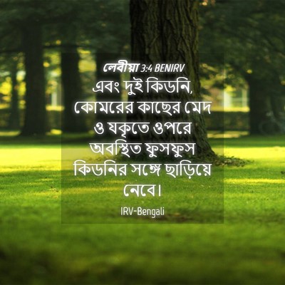 Picture 04 - লেবীয়া 3:4 BENIRV - এবং দুই কিডনি, - Bible Verse Picture