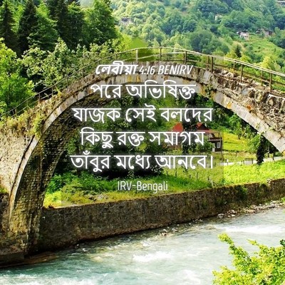 Picture 04 - লেবীয়া 4:16 BENIRV - পরে অভিষিক্ত যাজক - Bible Verse Picture