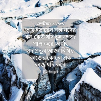 Picture 04 - লেবীয়া 4:2 BENIRV - তুমি ইস্রায়েল - Bible Verse Picture