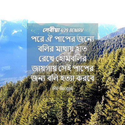 Picture 04 - লেবীয়া 4:29 BENIRV - পরে ঐ পাপের জন্যে - Bible Verse Picture