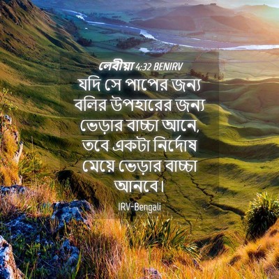 Picture 04 - লেবীয়া 4:32 BENIRV - যদি সে পাপের জন্য - Bible Verse Picture