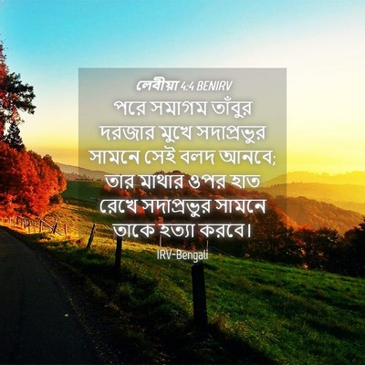 Picture 04 - লেবীয়া 4:4 BENIRV - পরে সমাগম তাঁবুর - Bible Verse Picture