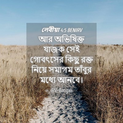 Picture 04 - লেবীয়া 4:5 BENIRV - আর অভিষিক্ত যাজক - Bible Verse Picture
