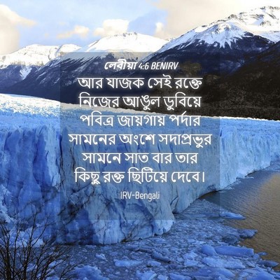 Picture 04 - লেবীয়া 4:6 BENIRV - আর যাজক সেই রক্তে - Bible Verse Picture