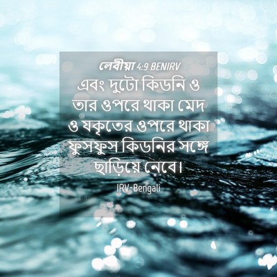 Picture 04 - লেবীয়া 4:9 BENIRV - এবং দুটো কিডনি ও - Bible Verse Picture