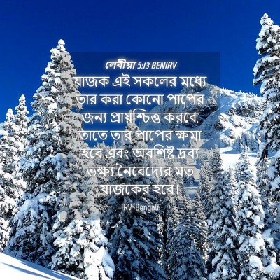 Picture 04 - লেবীয়া 5:13 BENIRV - যাজক এই সকলের - Bible Verse Picture