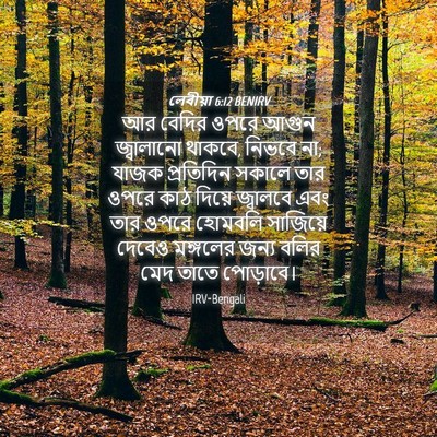 Picture 04 - লেবীয়া 6:12 BENIRV - আর বেদির ওপরে আগুন - Bible Verse Picture