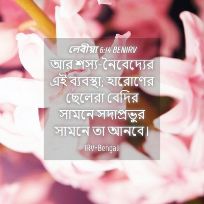 Picture 04 - লেবীয়া 6:14 BENIRV - আর শস্য-নৈবেদ্যের - Bible Verse Picture