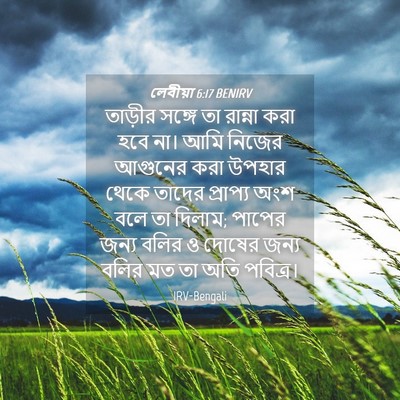 Picture 04 - লেবীয়া 6:17 BENIRV - তাড়ীর সঙ্গে তা - Bible Verse Picture
