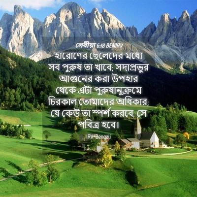 Picture 04 - লেবীয়া 6:18 BENIRV - হারোণের ছেলেদের - Bible Verse Picture