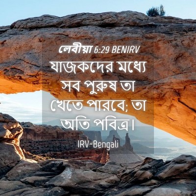 Picture 04 - লেবীয়া 6:29 BENIRV - যাজকদের মধ্যে সব - Bible Verse Picture