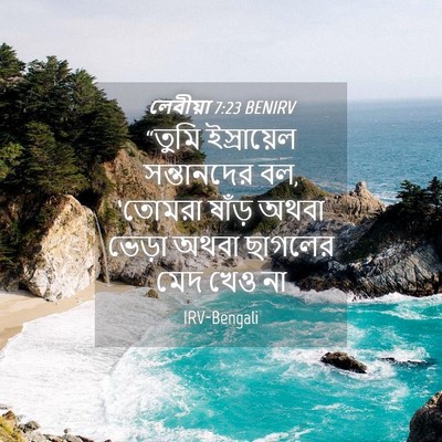 Picture 04 - লেবীয়া 7:23 BENIRV - “তুমি ইস্রায়েল - Bible Verse Picture