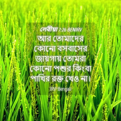 Picture 04 - লেবীয়া 7:26 BENIRV - আর তোমাদের কোনো - Bible Verse Picture