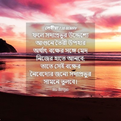 Picture 04 - লেবীয়া 7:30 BENIRV - ফলে সদাপ্রভুর - Bible Verse Picture