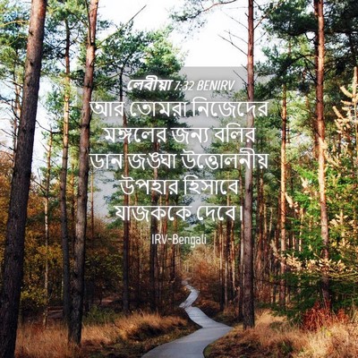 Picture 04 - লেবীয়া 7:32 BENIRV - আর তোমরা নিজেদের - Bible Verse Picture