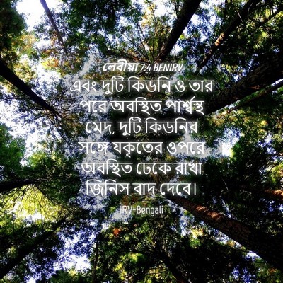 Picture 04 - লেবীয়া 7:4 BENIRV - এবং দুটি কিডনি ও - Bible Verse Picture