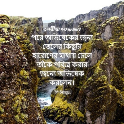 Picture 04 - লেবীয়া 8:12 BENIRV - পরে অভিষেকের জন্য - Bible Verse Picture