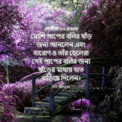 Picture 04 - লেবীয়া 8:14 BENIRV - মোশি পাপের বলির - Bible Verse Picture